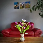 Jowatzky Altkoetzschenbroda Apartmán *