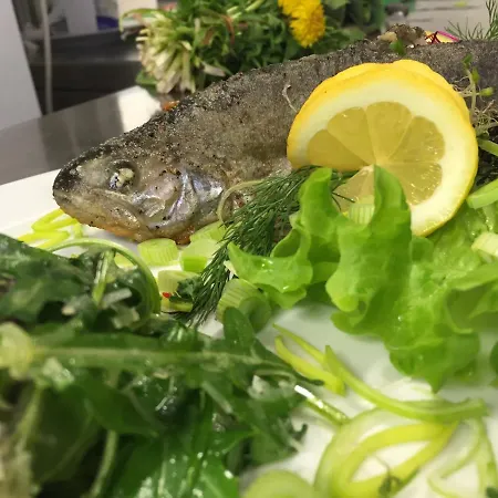 Jowatzky Altkoetzschenbroda Radebeul