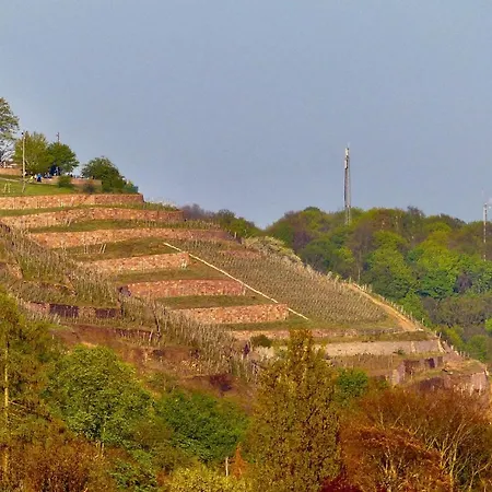 Jowatzky Altkoetzschenbroda شقة راديبول