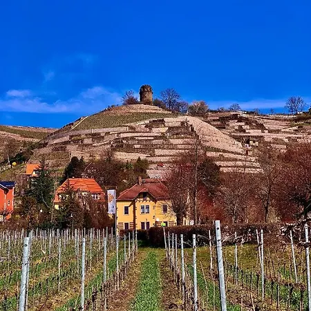 Jowatzky Altkoetzschenbroda