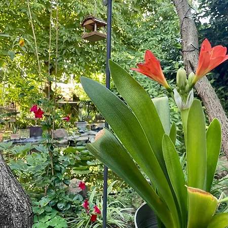 Jowatzky Altkoetzschenbroda شقة *