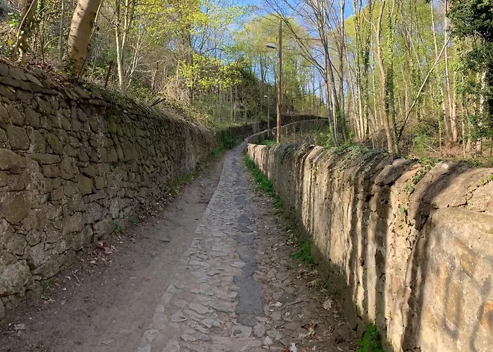 Jowatzky Altkoetzschenbroda