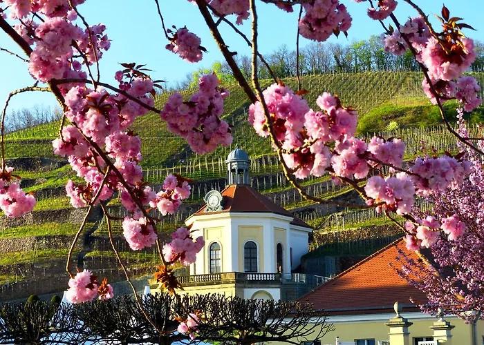 Apartment Jowatzky Altkoetzschenbroda
