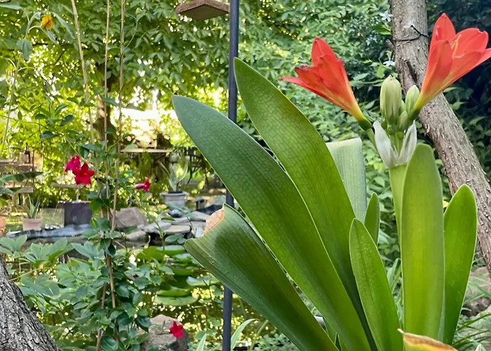 Jowatzky Altkoetzschenbroda Apartment *